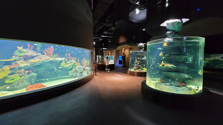 Daejeon Aquarium