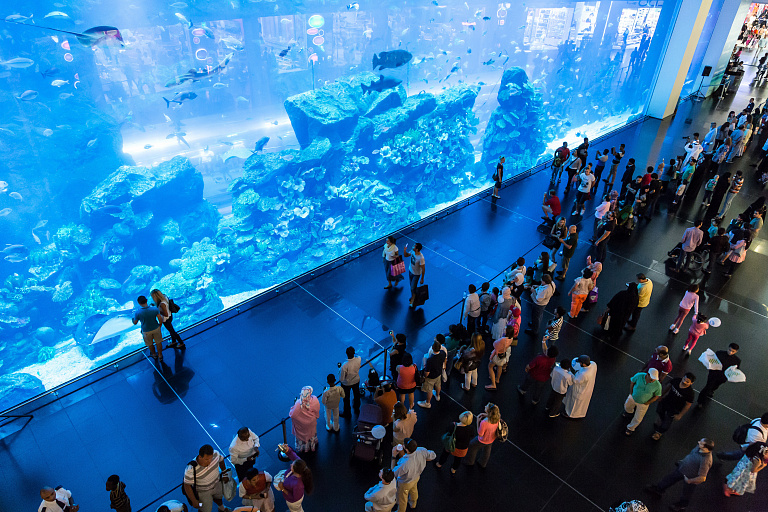 Acuario y zoológico subacuático de Dubai