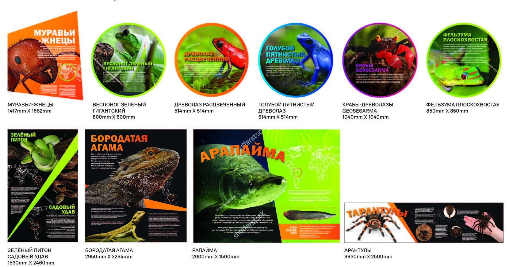 Yaranga Botanical Garden Graphic Design