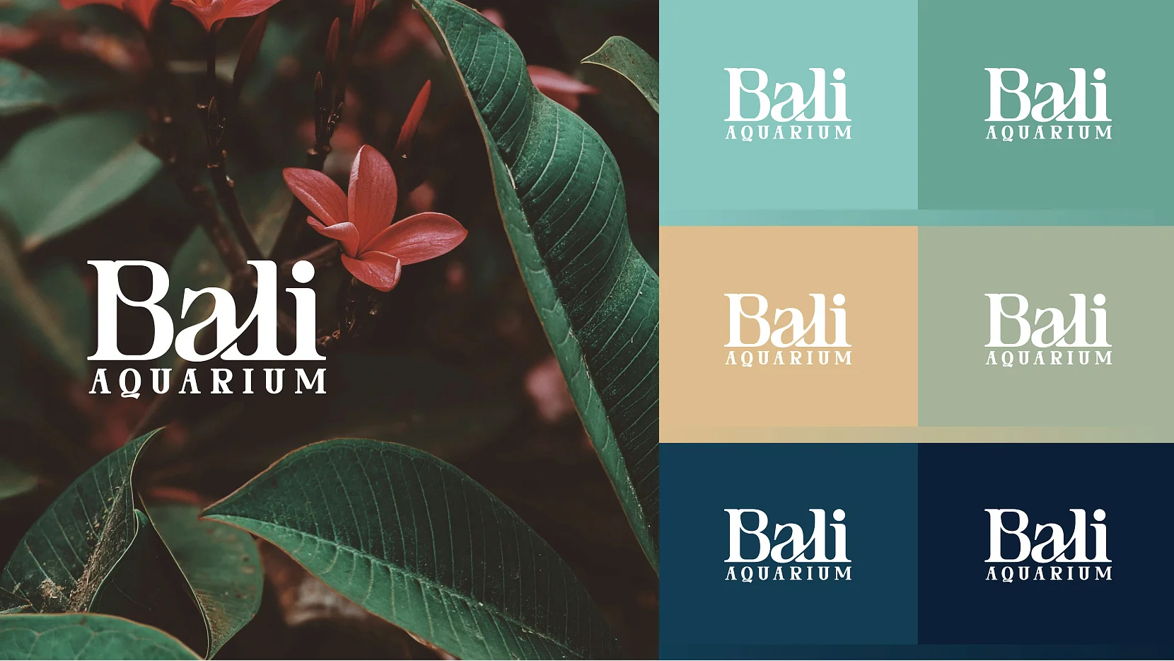Bali Aquarium Graphic Design