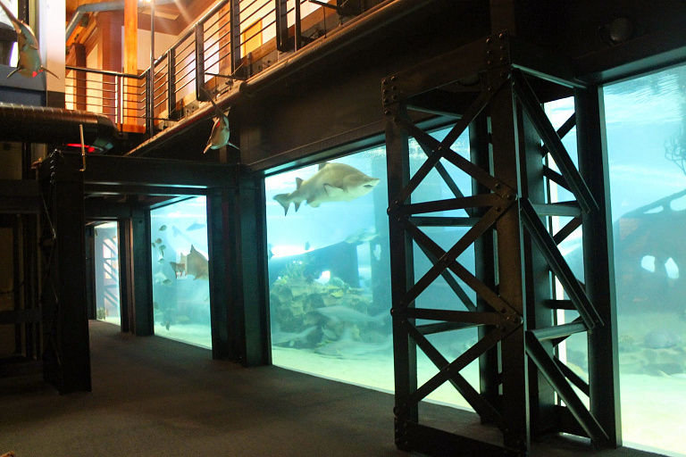 Acuario Greater Cleveland