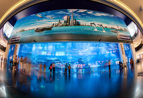 Acuario y zoológico subacuático de Dubai