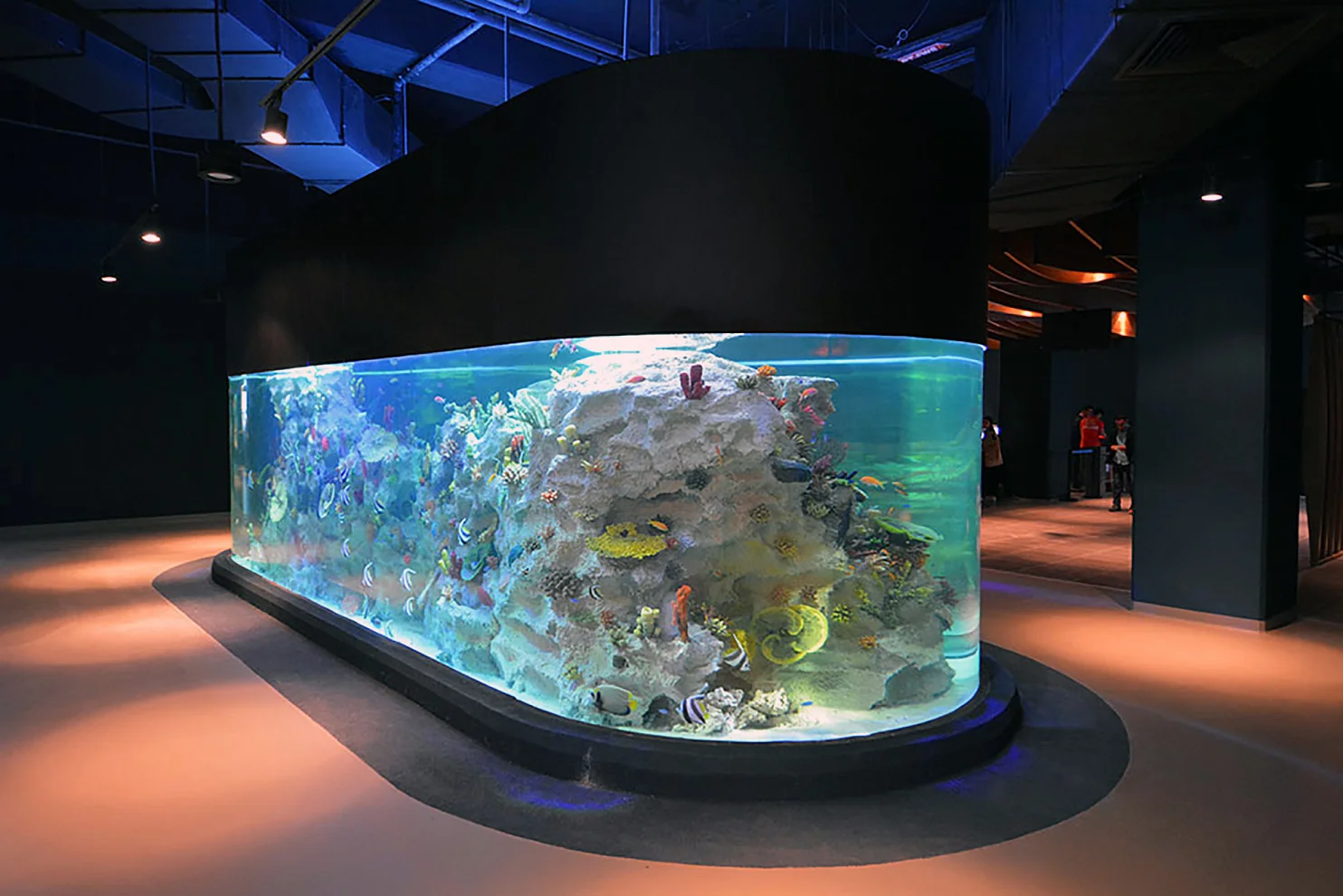 EMAAR Aquarium and Underwater Zoo