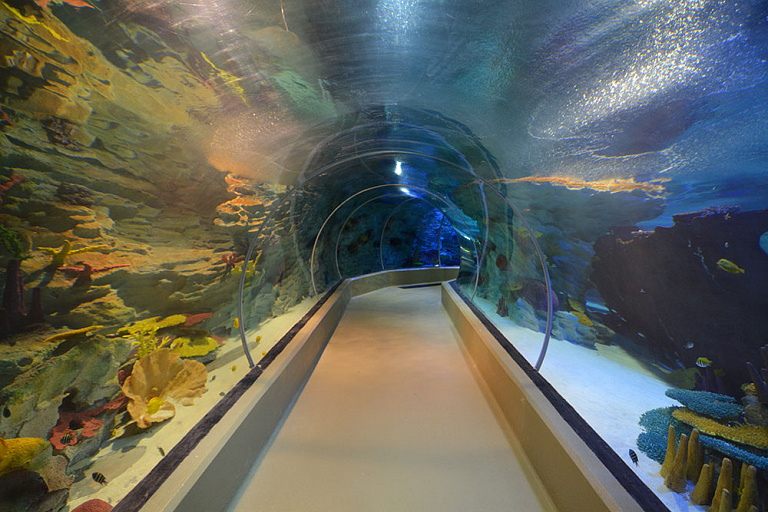 伊玛尔水族馆和水下动物园 
