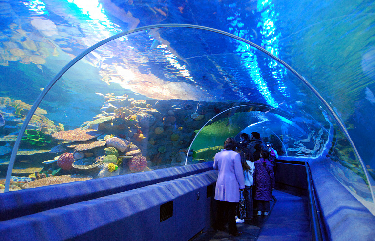图库祖水族馆 
