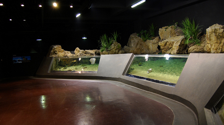 图库祖水族馆 

