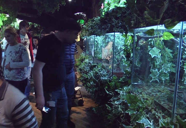 EMAAR Aquarium and Underwater Zoo