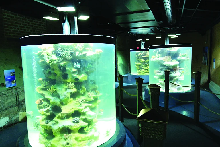 Greater Cleveland Aquarium