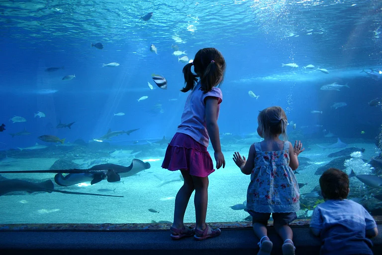 伊朗购物中心水族馆