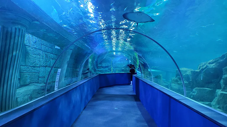 Daejeon Aquarium