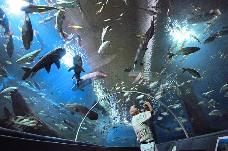 清迈水族馆