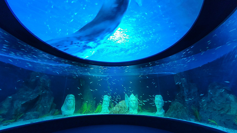 Daejeon Aquarium