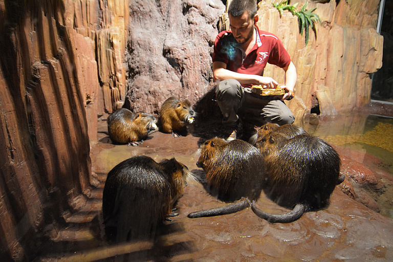 EMAAR Aquarium and Underwater Zoo