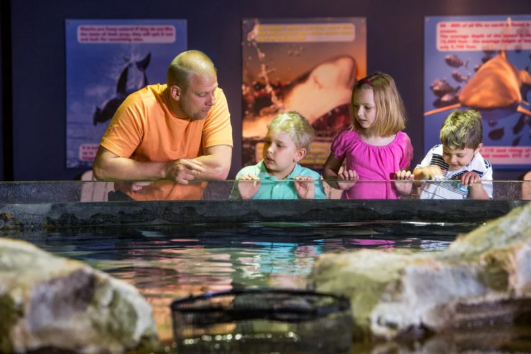 Greater Cleveland Aquarium