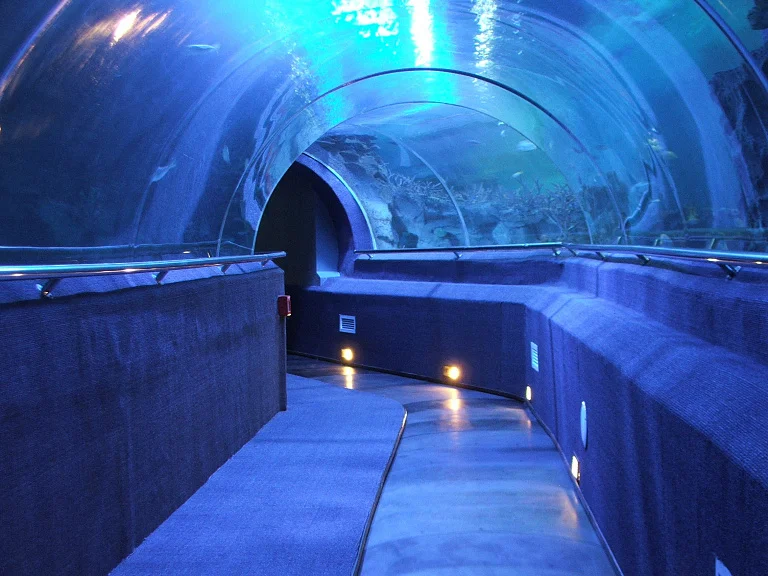 Vinpearl Underwater World