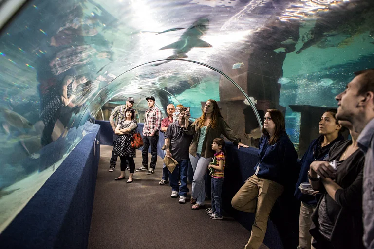 Greater Cleveland Aquarium