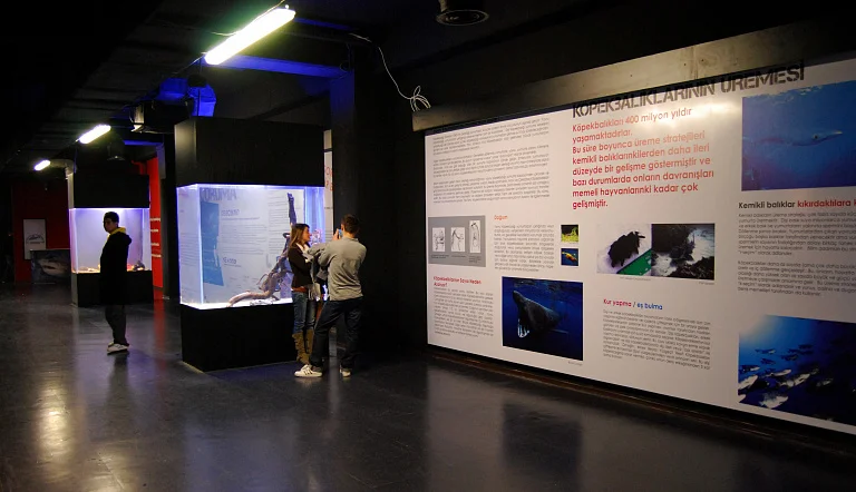 SEA LIFE Istanbul Aquarium