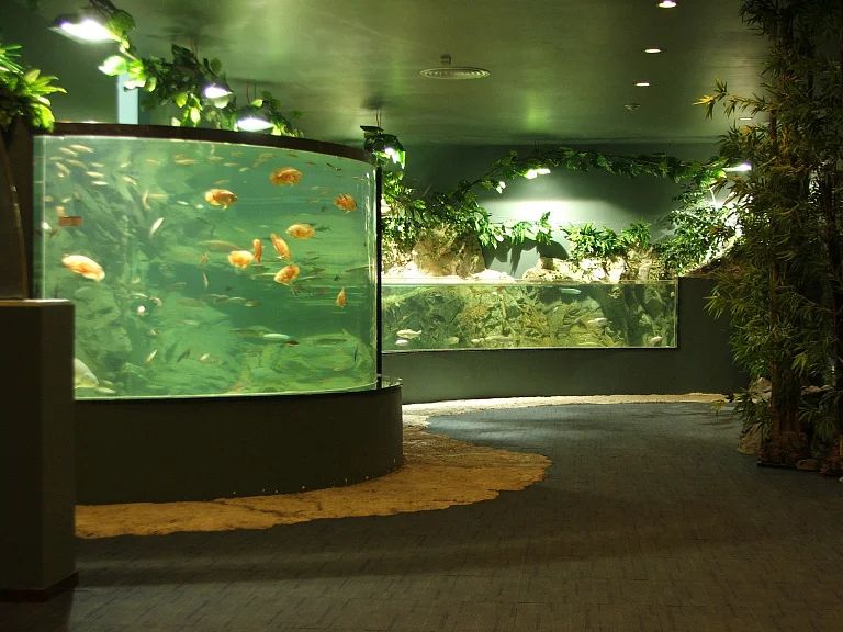 Vinpearl Underwater World