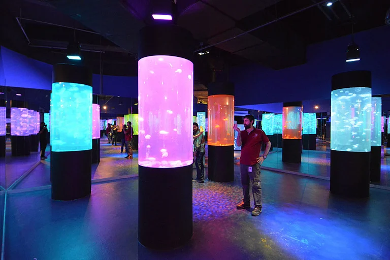 SEA LIFE Istanbul Aquarium