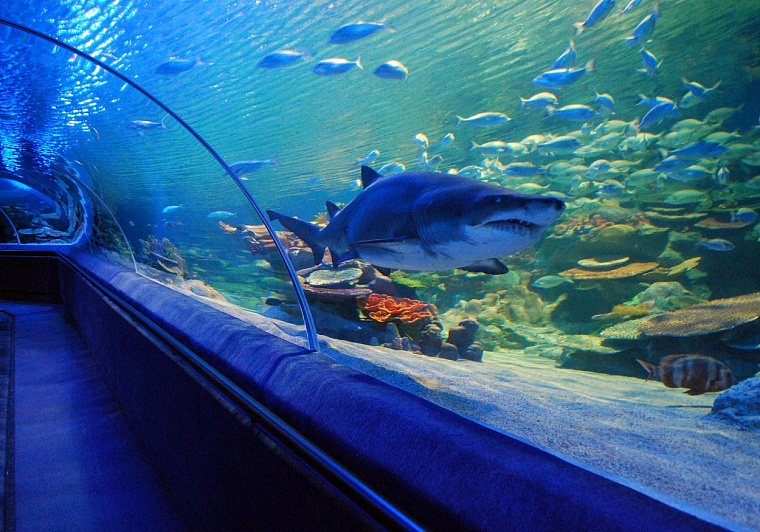 TurkuaZoo Aquarium