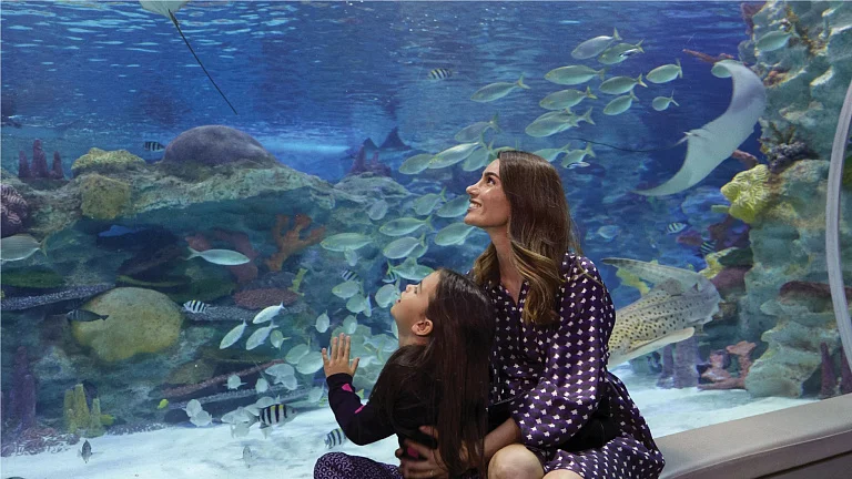 EMAAR Aquarium and Underwater Zoo