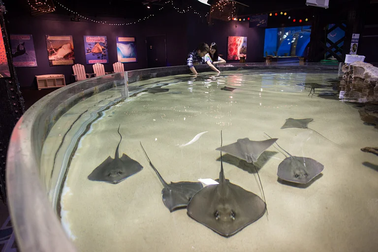 Greater Cleveland Aquarium