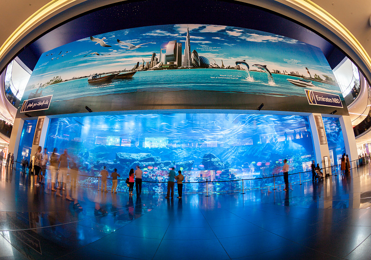 迪拜水族馆和水下动物园 
