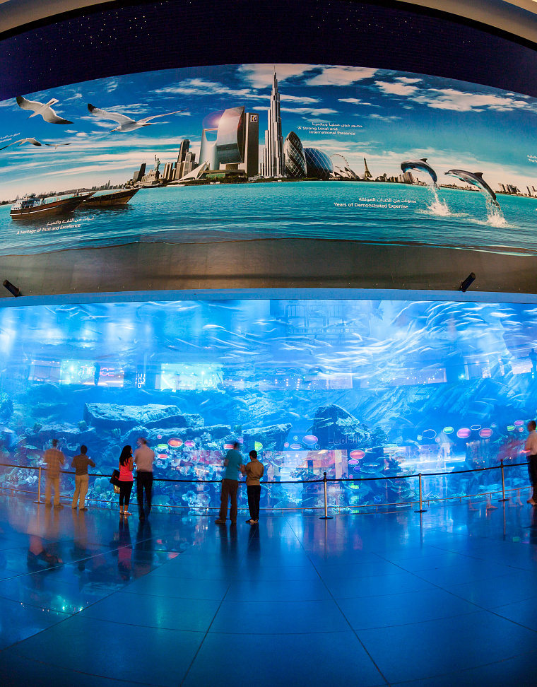 Dubai Aquarium and Underwater Zoo