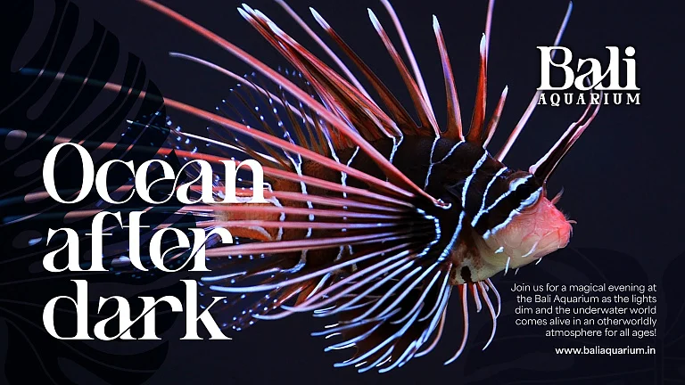 Bali Aquarium Graphic Design