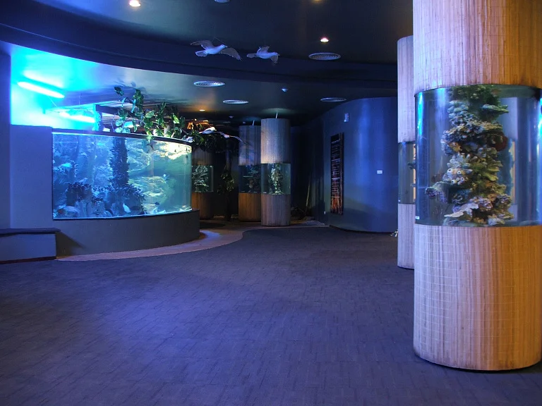 Vinpearl Underwater World