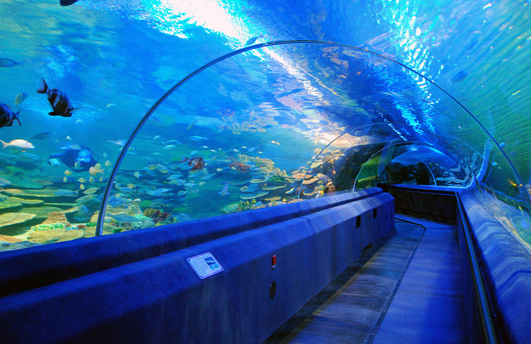 Acuario TurkuaZoo