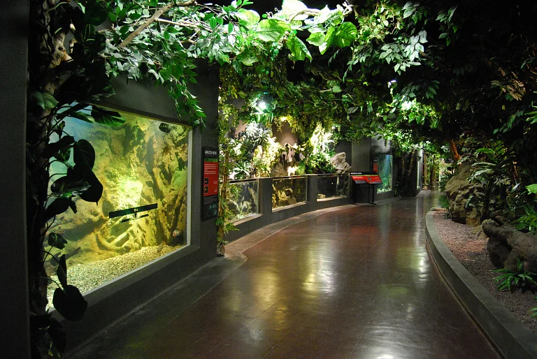 SEA LIFE Istanbul Aquarium