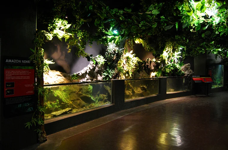 SEA LIFE Istanbul Aquarium