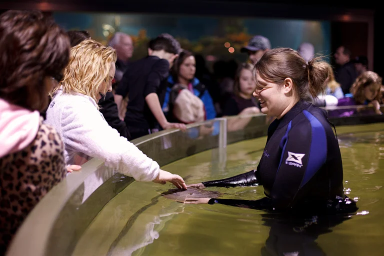 Greater Cleveland Aquarium