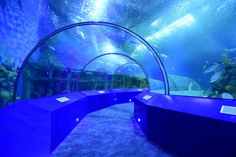 Gujarat Science City Aquatics Gallery
