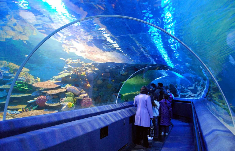 SEA LIFE Istanbul Aquarium