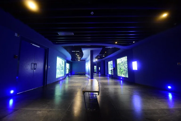 معرض الاحياء المائية في مدينة كجرات للعلوم