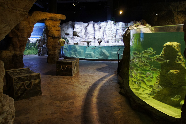 Национальный аквариум Мальты