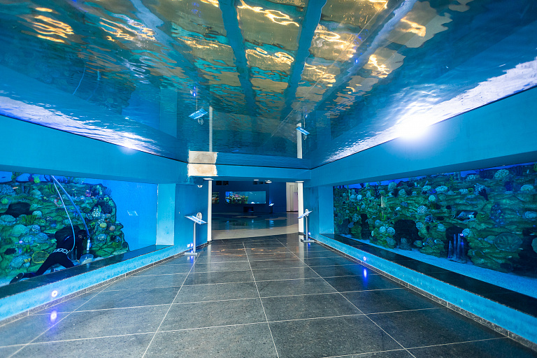 Gujarat Science City Aquatics Gallery