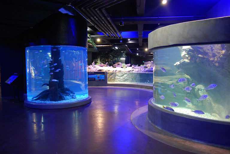 TurkuaZoo Aquarium
