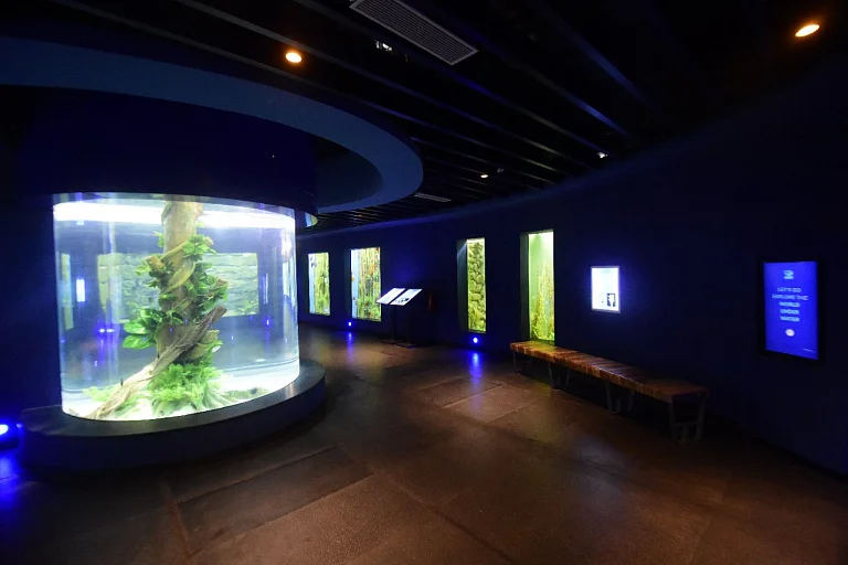 Gujarat Science City Aquatics Gallery