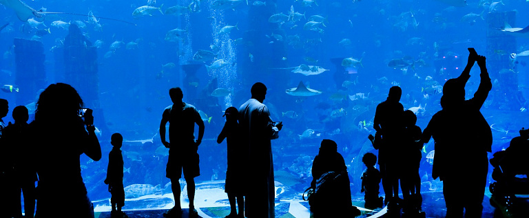 Acuario y zoológico subacuático de Dubai