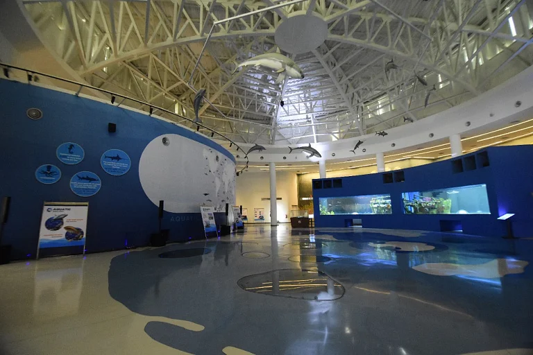 معرض الاحياء المائية في مدينة كجرات للعلوم