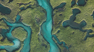 자연의  Biomes <br/> ↳  우리의 영감
