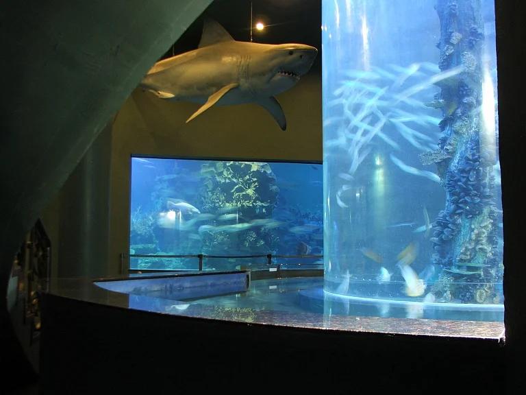 Vinpearl Underwater World