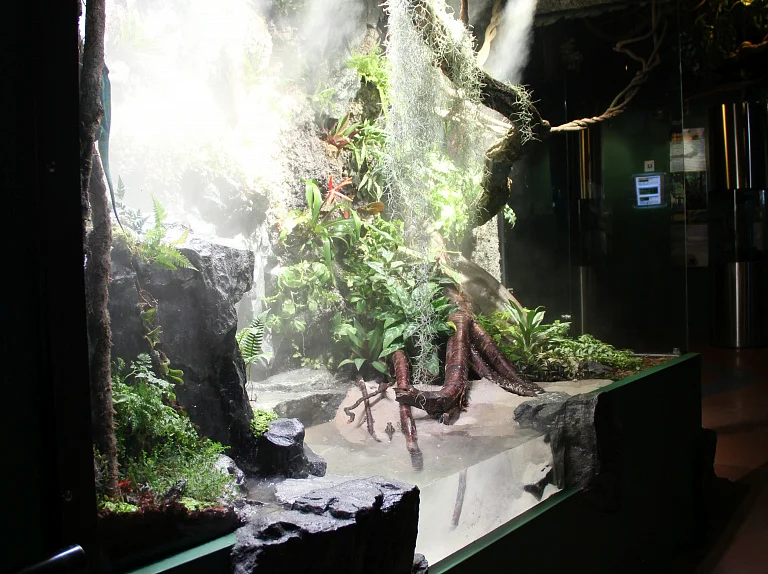 Oceanario de San Petersburgo