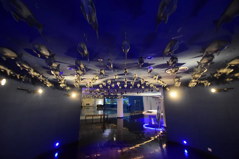 Gujarat Science City Aquatics Gallery