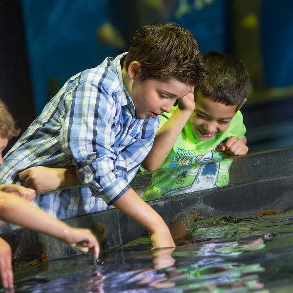 Greater Cleveland Aquarium