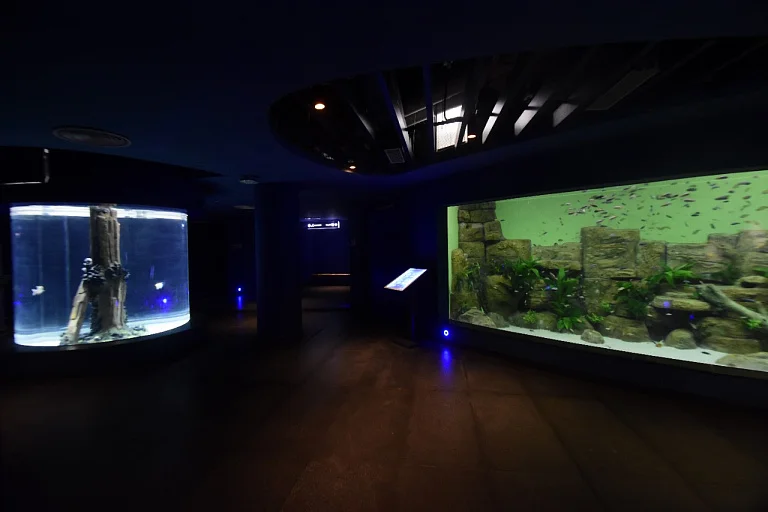 Gujarat Science City Aquatics Gallery