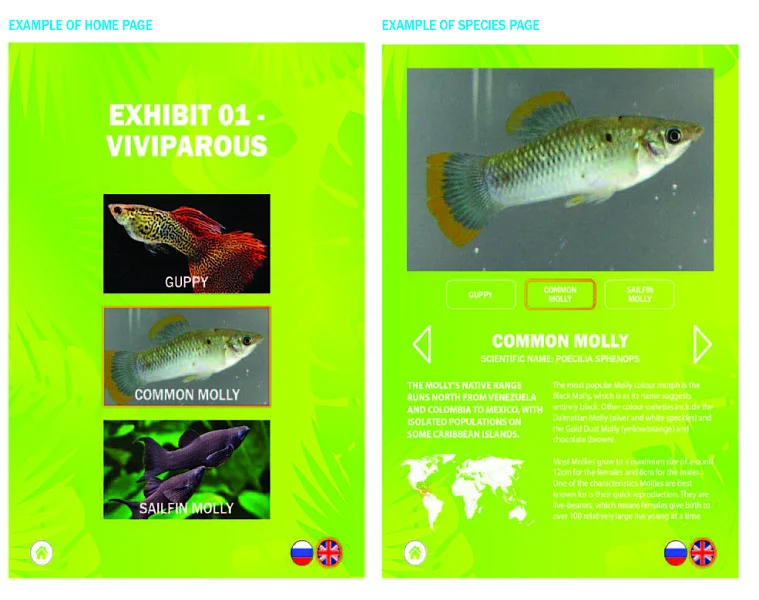 Yaranga Botanical Garden Graphic Design